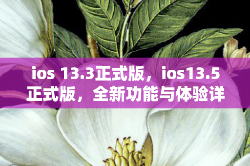 ios 13.3正式版，ios13.5正式版，全新功能与体验详解