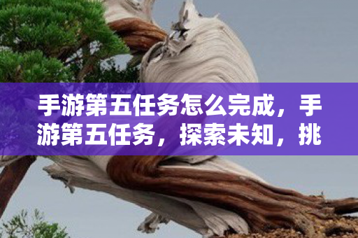 手游第五任务怎么完成,手游第五任务,探索未知,挑战极限 手游第五任务怎么完成,手游第五任务,探索未知,挑战极限