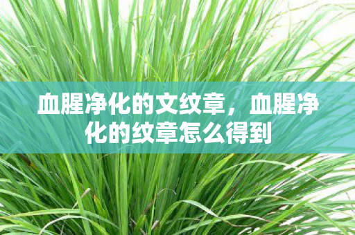 血腥净化的文纹章,血腥净化的纹章怎么得到 血腥净化的文纹章,血腥净化的纹章怎么得到