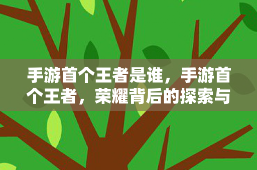 手游首个王者是谁，手游首个王者，荣耀背后的探索与挑战