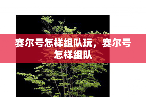 赛尔号怎样组队玩，赛尔号怎样组队
