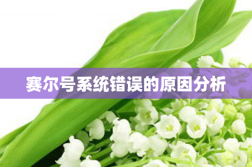 赛尔号系统错误的原因分析