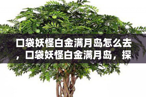口袋妖怪白金满月岛怎么去,口袋妖怪白金满月岛,探索未知世界的奇妙旅程 口袋妖怪白金满月岛怎么去,口袋妖怪白金满月岛,探索未知世界的奇妙旅程