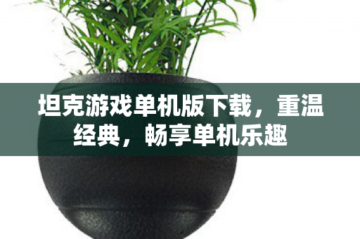 坦克游戏单机版下载,重温经典,畅享单机乐趣 坦克游戏单机版下载,重温经典,畅享单机乐趣