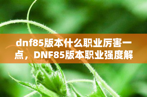 dnf85版本什么职业厉害一点,DNF85版本职业强度解析,哪些职业独领风骚? dnf85版本什么职业厉害一点,DNF85版本职业强度解析,哪些职业独领风骚?