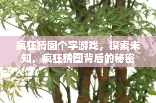疯狂猜图个字游戏,探索未知,疯狂猜图背后的秘密 疯狂猜图个字游戏,探索未知,疯狂猜图背后的秘密