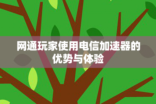 网通玩家使用电信加速器的优势与体验