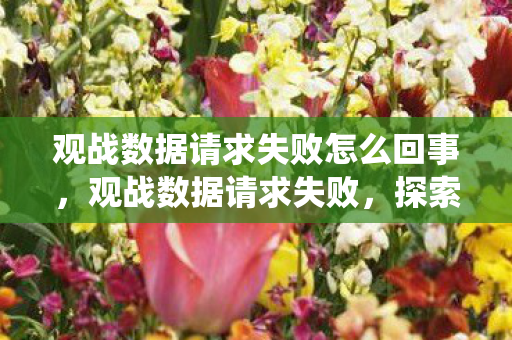 观战数据请求失败怎么回事,观战数据请求失败,探索游戏观战系统的技术挑战与解决方案 观战数据请求失败怎么回事,观战数据请求失败,探索游戏观战系统的技术挑战与解决方案