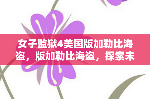 女子监狱4美国版加勒比海盗，版加勒比海盗，探索未知海域的奇幻冒险
