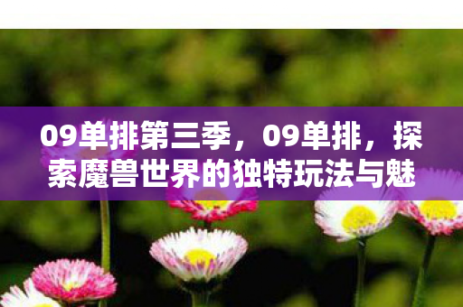 09单排第三季，09单排，探索魔兽世界的独特玩法与魅力