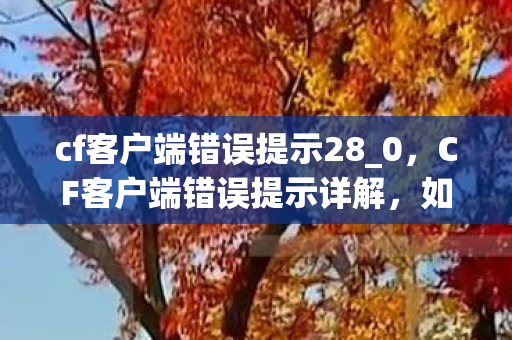 cf客户端错误提示28_0，CF客户端错误提示详解，如何避免和解决常见问题