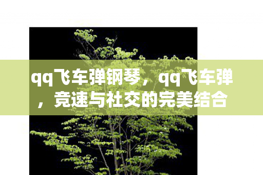qq飞车弹钢琴,qq飞车弹,竞速与社交的完美结合 qq飞车弹钢琴,qq飞车弹,竞速与社交的完美结合