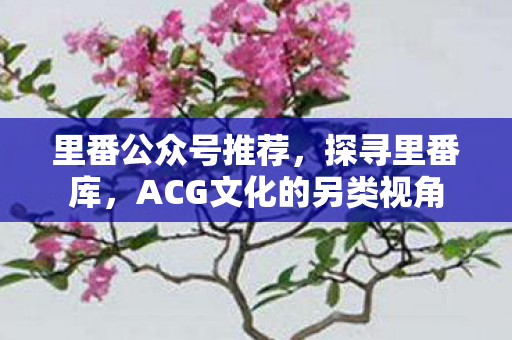 里番公众号推荐,探寻里番库,ACG文化的另类视角 里番公众号推荐,探寻里番库,ACG文化的另类视角