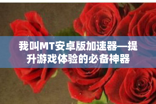 我叫MT安卓版加速器—提升游戏体验的必备神器