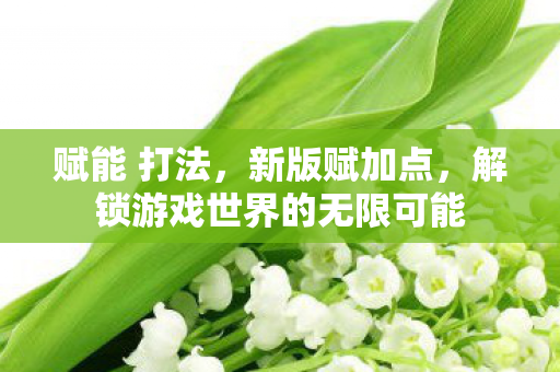 赋能 打法,新版赋加点,解锁游戏世界的无限可能 赋能 打法,新版赋加点,解锁游戏世界的无限可能