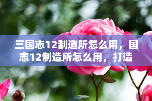 三国志12制造所怎么用，国志12制造所怎么用，打造高效生产链的秘诀