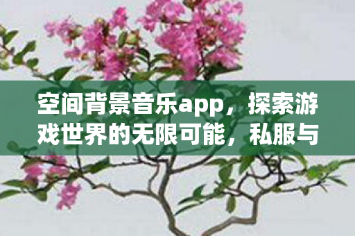 空间背景音乐app，探索游戏世界的无限可能，私服与官方服务器的独特魅力