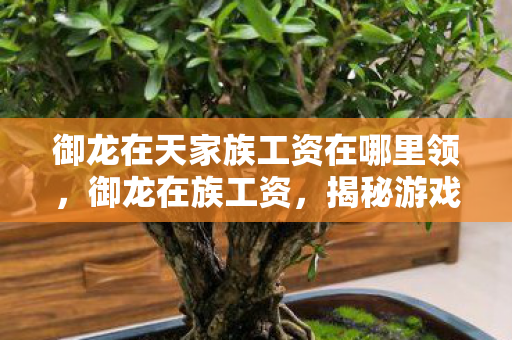 御龙在天家族工资在哪里领，御龙在族工资，揭秘游戏产业背后的薪酬秘密