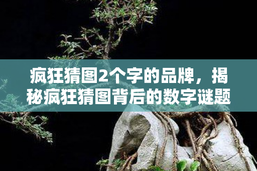 疯狂猜图2个字的品牌，揭秘疯狂猜图背后的数字谜题