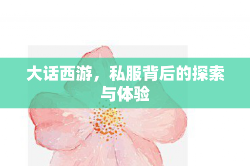 大话西游,私服背后的探索与体验 大话西游,私服背后的探索与体验