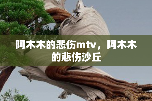 阿木木的悲伤mtv，阿木木的悲伤沙丘