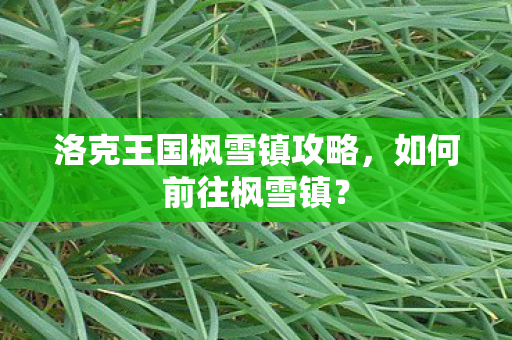 洛克王国枫雪镇攻略,如何前往枫雪镇? 洛克王国枫雪镇攻略,如何前往枫雪镇?