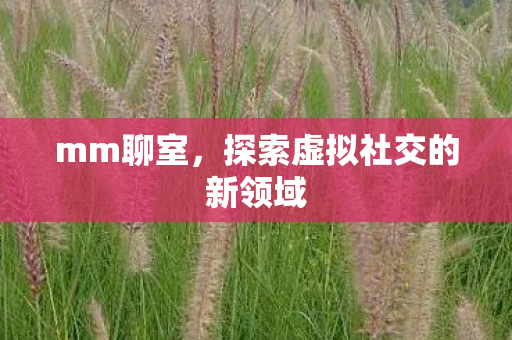 mm聊室,探索虚拟社交的新领域 mm聊室,探索虚拟社交的新领域