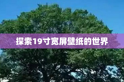 探索19寸宽屏壁纸的世界 探索19寸宽屏壁纸的世界