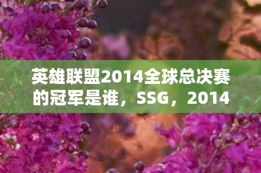 英雄联盟2014全球总决赛的冠军是谁,SSG,2014全球总决赛的霸主 英雄联盟2014全球总决赛的冠军是谁,SSG,2014全球总决赛的霸主