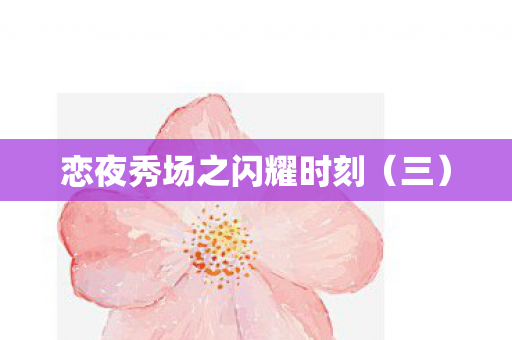 恋夜秀场之闪耀时刻(三) 恋夜秀场之闪耀时刻(三)
