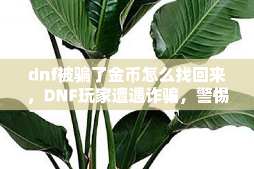 dnf被骗了金币怎么找回来，DNF玩家遭遇诈骗，警惕游戏内黑市交易风险