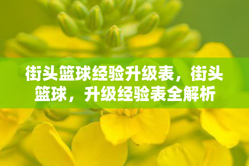 街头篮球经验升级表,街头篮球,升级经验表全解析 街头篮球经验升级表,街头篮球,升级经验表全解析