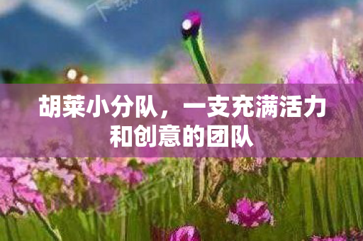 胡莱小分队,一支充满活力和创意的团队 胡莱小分队,一支充满活力和创意的团队