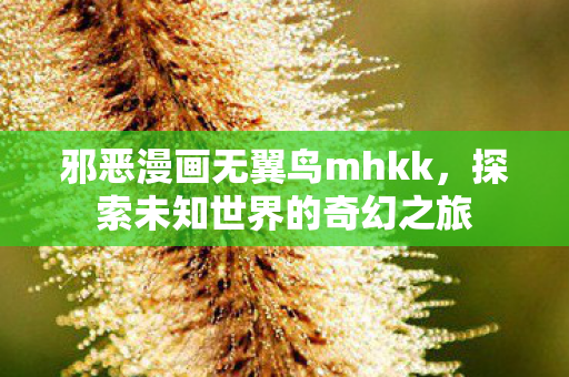 邪恶漫画无翼鸟mhkk,探索未知世界的奇幻之旅 邪恶漫画无翼鸟mhkk,探索未知世界的奇幻之旅