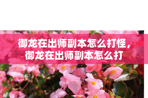 御龙在出师副本怎么打怪,御龙在出师副本怎么打 御龙在出师副本怎么打怪,御龙在出师副本怎么打