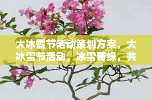 大冰雪节活动策划方案,大冰雪节活动,冰雪奇缘,共赴冬日盛宴 大冰雪节活动策划方案,大冰雪节活动,冰雪奇缘,共赴冬日盛宴