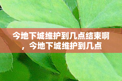 今地下城维护到几点结束啊,今地下城维护到几点 今地下城维护到几点结束啊,今地下城维护到几点