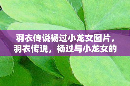 羽衣传说杨过小龙女图片,羽衣传说,杨过与小龙女的武侠情缘 羽衣传说杨过小龙女图片,羽衣传说,杨过与小龙女的武侠情缘
