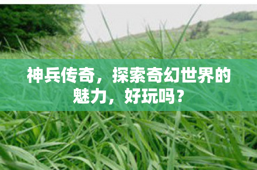 神兵传奇,探索奇幻世界的魅力,好玩吗? 神兵传奇,探索奇幻世界的魅力,好玩吗?