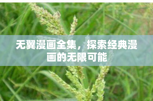 无翼漫画全集,探索经典漫画的无限可能 无翼漫画全集,探索经典漫画的无限可能