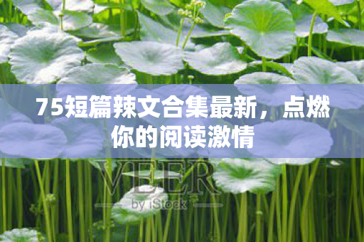 75短篇辣文合集最新,点燃你的阅读激情 75短篇辣文合集最新,点燃你的阅读激情