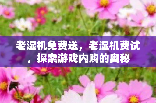 老湿机免费送,老湿机费试,探索游戏内购的奥秘 老湿机免费送,老湿机费试,探索游戏内购的奥秘