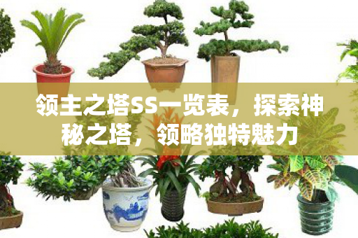 领主之塔SS一览表,探索神秘之塔,领略独特魅力 领主之塔SS一览表,探索神秘之塔,领略独特魅力