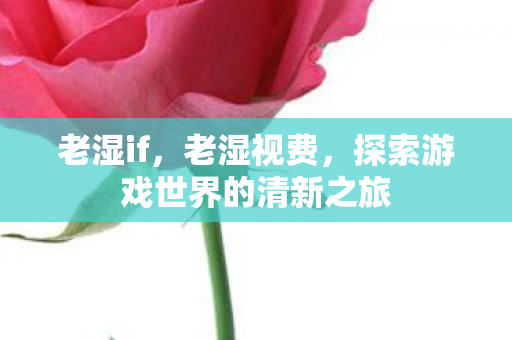 老湿if,老湿视费,探索游戏世界的清新之旅 老湿if,老湿视费,探索游戏世界的清新之旅