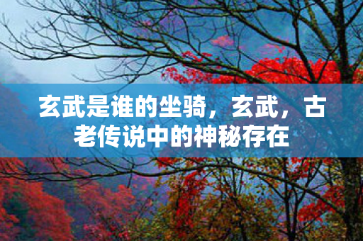 玄武是谁的坐骑，玄武，古老传说中的神秘存在