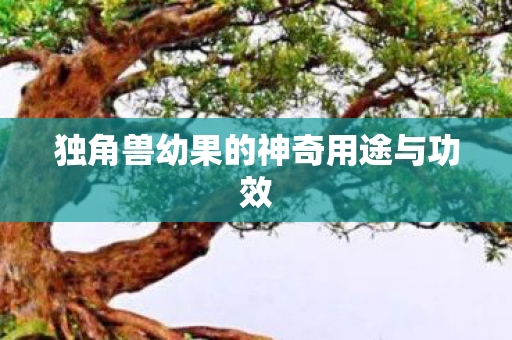 独角兽幼果的神奇用途与功效 独角兽幼果的神奇用途与功效