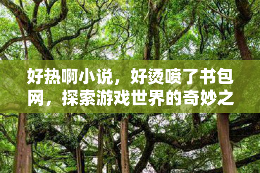 好热啊小说,好烫喷了书包网,探索游戏世界的奇妙之旅 好热啊小说,好烫喷了书包网,探索游戏世界的奇妙之旅