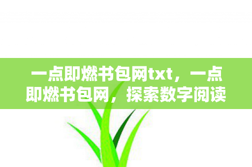 一点即燃书包网txt,一点即燃书包网,探索数字阅读的新纪元 一点即燃书包网txt,一点即燃书包网,探索数字阅读的新纪元