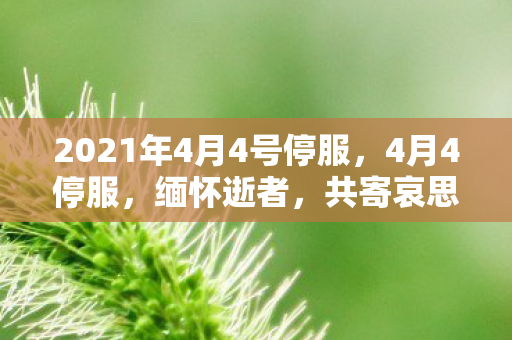 2021年4月4号停服，4月4停服，缅怀逝者，共寄哀思