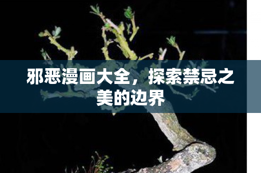 邪恶漫画大全，探索禁忌之美的边界